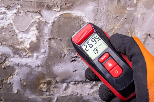 Best Mold Inspection  in Scottsville, NY